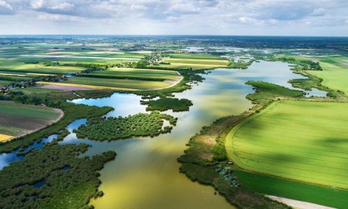Convenzione sulla biodiversità