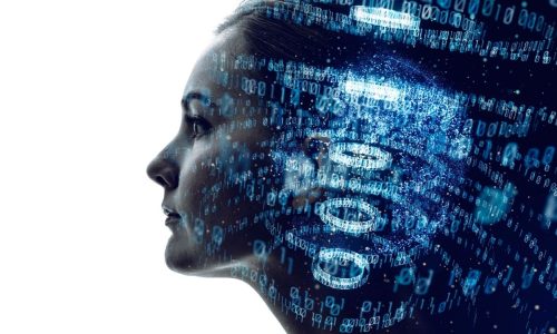 Pnrr e transizione digitale