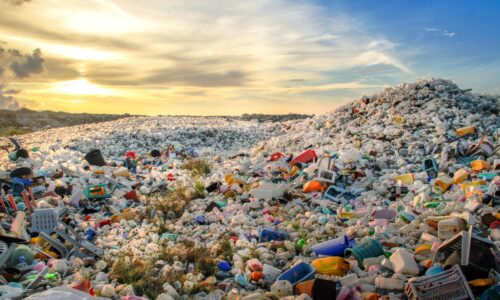 ambiente giornata mondiale plastica