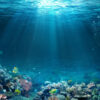 5.000 nuove specie marine