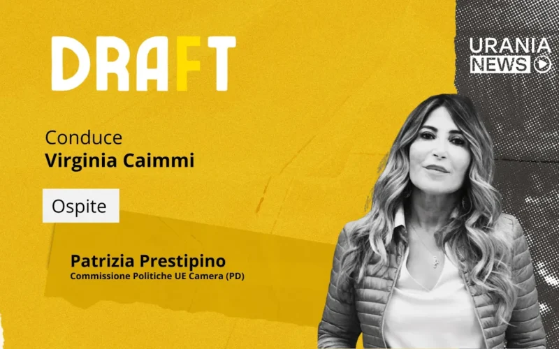 Draft | Patrizia Prestipino, Commissione Politiche UE Camera (PD)