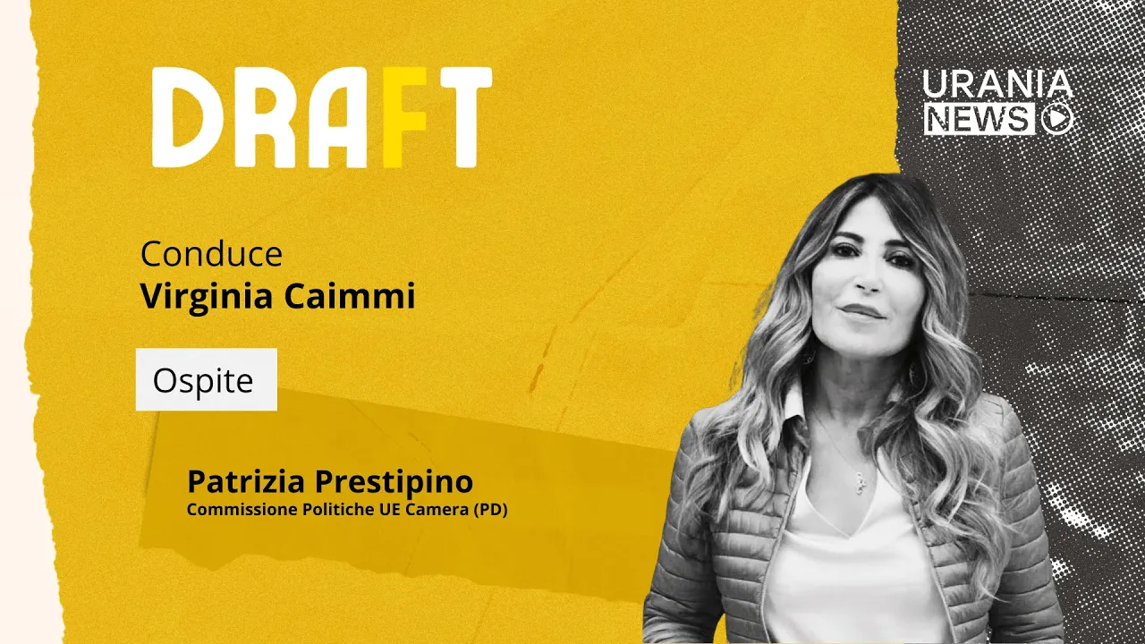 Draft | Patrizia Prestipino, Commissione Politiche UE Camera (PD)