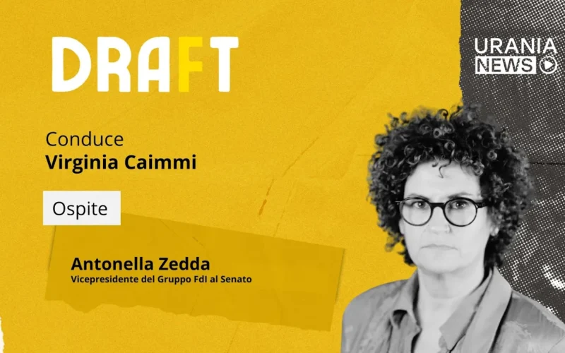 Draft | Antonella Zedda, Vicepresidente del Gruppo FdI al Senato