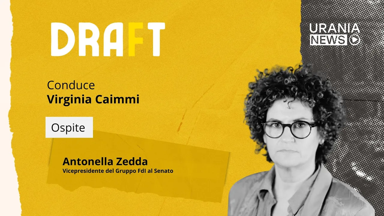 Draft | Antonella Zedda, Vicepresidente del Gruppo FdI al Senato