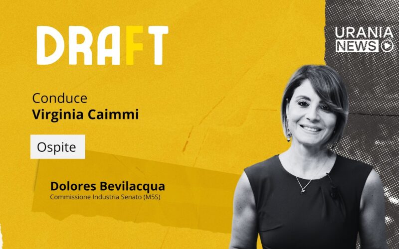 Draft | Dolores Bevilacqua, Commissione Industria Senato (M5S)